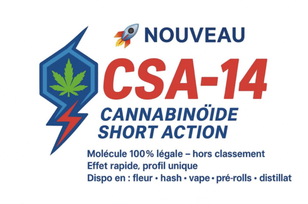 Royal Pré Rolls CSA - 14 | 1g