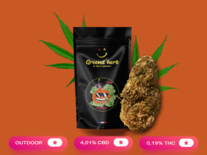 Blood Orange Diesel
