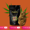 Blood Orange Diesel