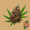 Badazz Cookies Candy