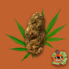 Blood Orange Diesel