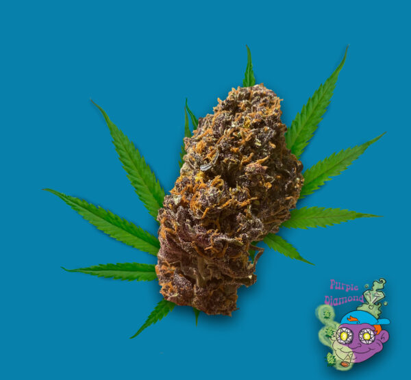 Purple Diamond