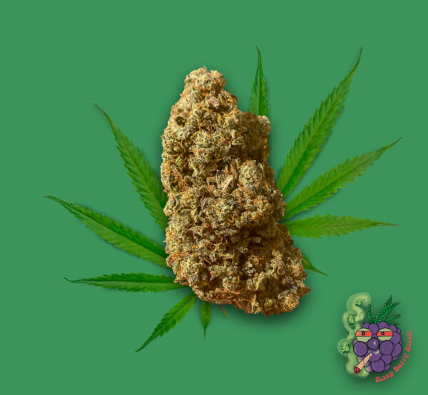Rasp Berry Kush
