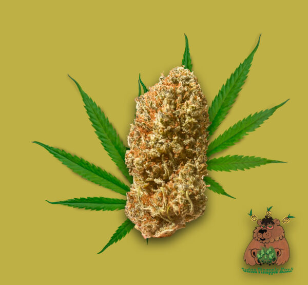 Swiss Pinapple Kush