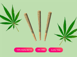 Royal Pré Rolls Delta BZ10 | 1g