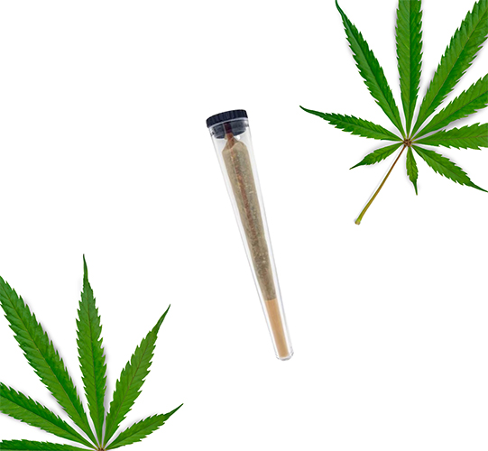 Royal Pré Rolls Delta BZ10 | 1g