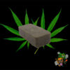 Hash Rif Mango Muscimole