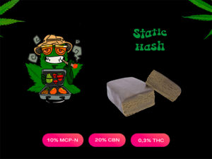 Static Hash