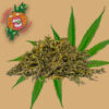Trim - Badazz Cookies Candy