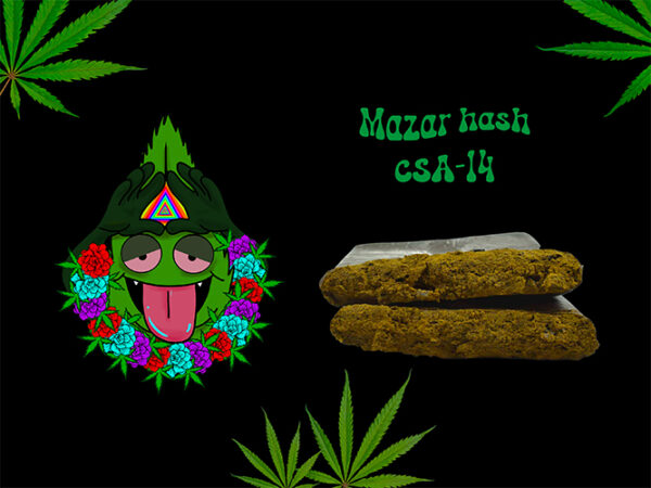 Mazar Hash CSA-14