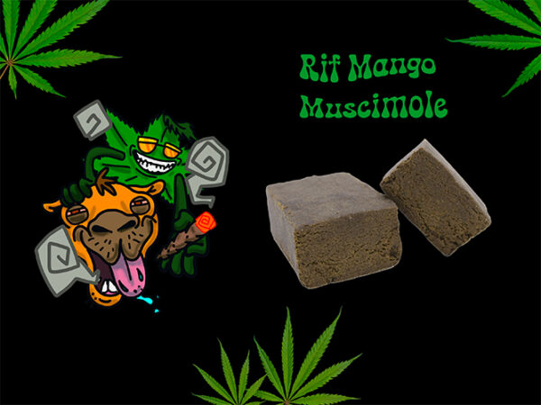 Hash Rif Mango Muscimole