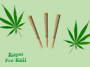 Royal Pré Rolls CSA - 14 | 1g