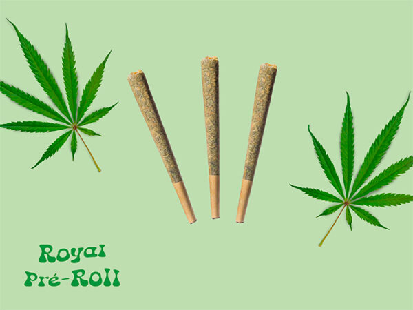 Royal Pré Rolls CSA - 14 | 1g